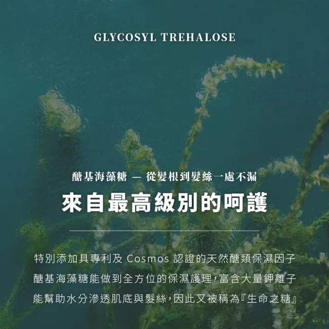 【Sample. 打漾】MYSTERY秘境 秘境保濕修復洗髮精(500ml 麝香玫瑰天竺葵│洗髮精│深度清潔│長效保濕)