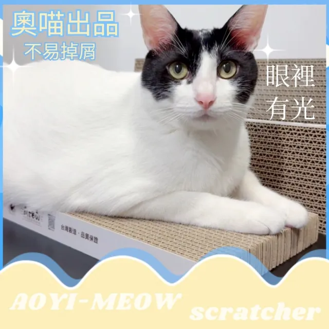 【AOYI奧藝】台製瓦楞紙貓抓板39.5*19*3CM(植物膠貓抓板 安全無憂 奧喵貓抓板 高密度貓抓板 耐抓耐磨)