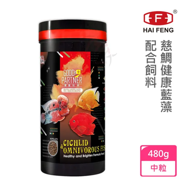 【海豐飼料】親蜜伙伴GP+慈鯛健康藍藻配合飼料 中粒480g(專為血鸚鵡 花羅漢等慈鯛科設計)