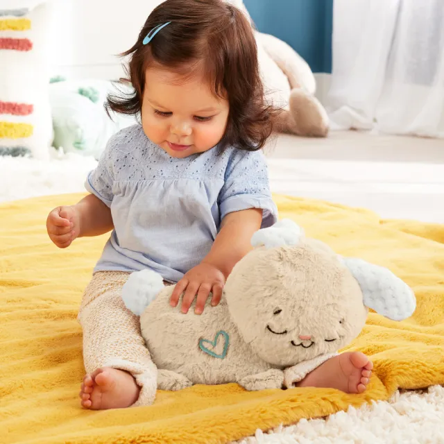 【Fisher price 費雪】安撫睡眠小兔子