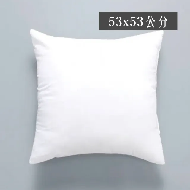【HEAVEN 研紡枕所】枕芯四入組 台灣製高磅數透氣抱枕芯53x53cm(適用50x50抱枕套、抱枕芯組合、純白枕芯)