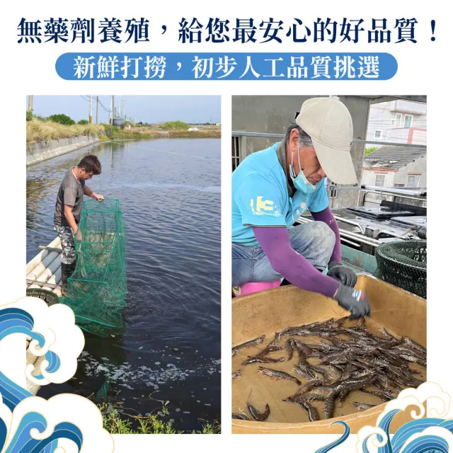 【幸美生技】台灣冷凍無毒白蝦600gx3盒(40-50/kg   加贈鮮凍白花菜米1kg/包)