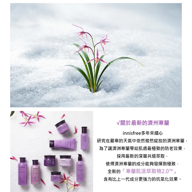 【INNISFREE】寒蘭複合眼霜 30ml