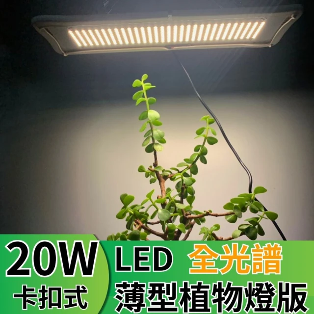 JIUNPEY 君沛 LED20W薄型植物燈版 20瓦卡扣式植物燈 仿日照陽光植物燈全光譜 高演色(植物生長燈 植物燈)