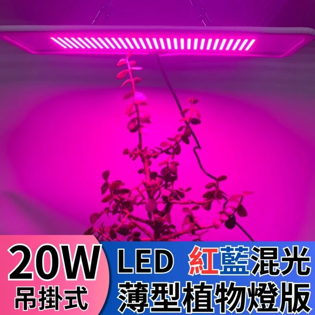 JIUNPEY 君沛 LED20W薄型植物燈版 20瓦吊掛式植物燈 紅藍光譜(植物生長燈 植物燈)