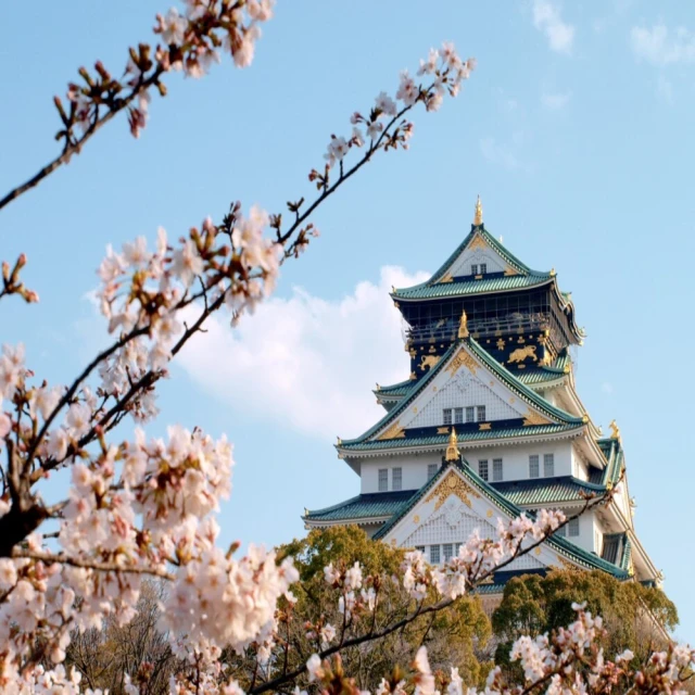 喜鴻假期 【櫻艷關西5日】紀州溫泉、京都賞櫻~醍醐寺、大阪城、水上巴士、神戶牛★升等希爾頓飯店