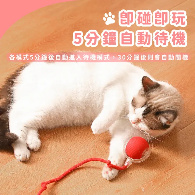 【啃咬追逐】智能互動逗貓球(寵物玩具球 電動球 解悶 自嗨 貓咪 狩獵球 自動球 不倒翁 滾動球 狗玩具)