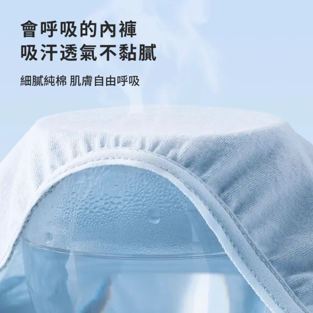 【巴迪高】5件組 一次性兒童純棉內褲 拋棄式棉質免洗內褲 透氣大彈力內褲 女內褲/男內褲 旅行必備用品