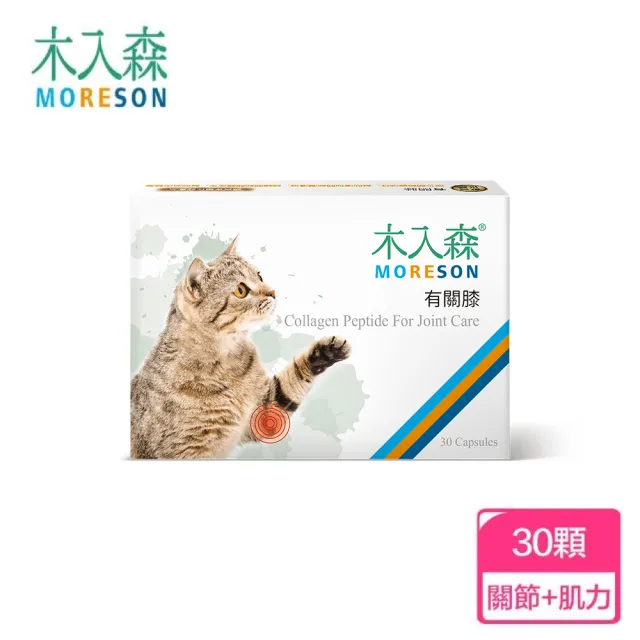 【木入森】貓咪有關膝 30顆/盒(貓咪關節保健食品 膠原蛋白 玻尿酸 老貓照護 貓關節保健)