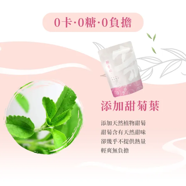 【新寶順】蜜桃輕茶/快速冷泡果茶任選兩入組(蘋果輕茶/蜜桃輕茶/藍莓冰茶/紅果冰茶)