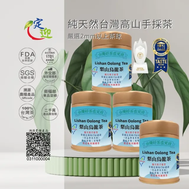 【iTQi 定迎】梨山手採烏龍茶-金罐裝 半斤(冬茶)