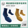 【WOAWOA】2入組 極致速乾登山羊毛襪-中筒(100%防縮美麗諾羊毛 登山襪 保暖襪 除臭襪 羊毛襪 厚襪)