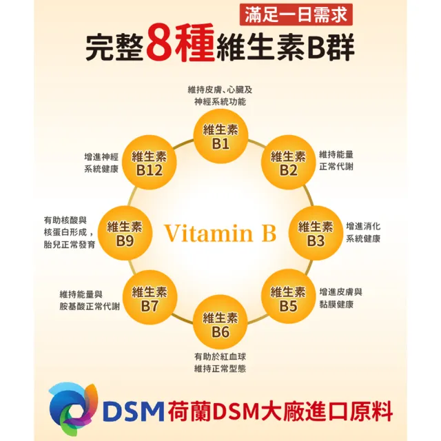 【悠活原力】原力緩釋維生素B群 緩釋膜衣錠X5盒(60粒/瓶 共300粒 吳淡如真情推薦)