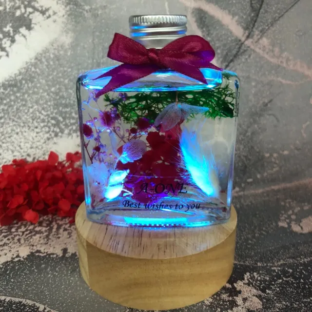 【A-ONE 匯旺】浮游花DIY材料包 永生情人草 天然乾燥花 永生花 植物果實 花藝 手做 乾燥花 不凋花 乾花 H45