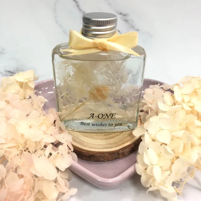 【A-ONE 匯旺】浮游花DIY材料包 安娜繡球 花材 乾燥花材 浮油花 不凋花 永生花 乾燥花花材 富貴豆 H42