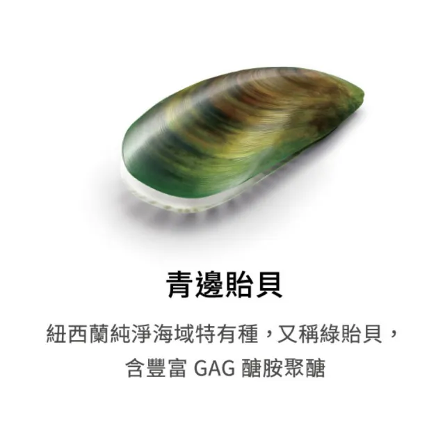 【PERNATON 百通關】涼感型關節凝膠 250ml 超值四入組(瑞士原裝進口 擦的葡萄糖胺)