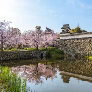 【喜鴻假期】【九州賞櫻熊好玩５日】高千穗峽、大觀峰、熊本城、萌熊電鐵、湯布院、門司港