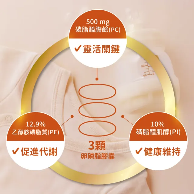 【NOW Foods】卵磷脂膠囊3瓶組(100顆*3瓶)