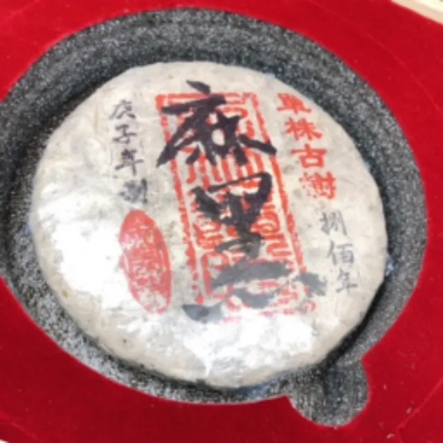 【寶堂人文】藏茶轉運八百年單株古樹麻黑(生茶 餅茶 普洱 猛海 單株古樹)