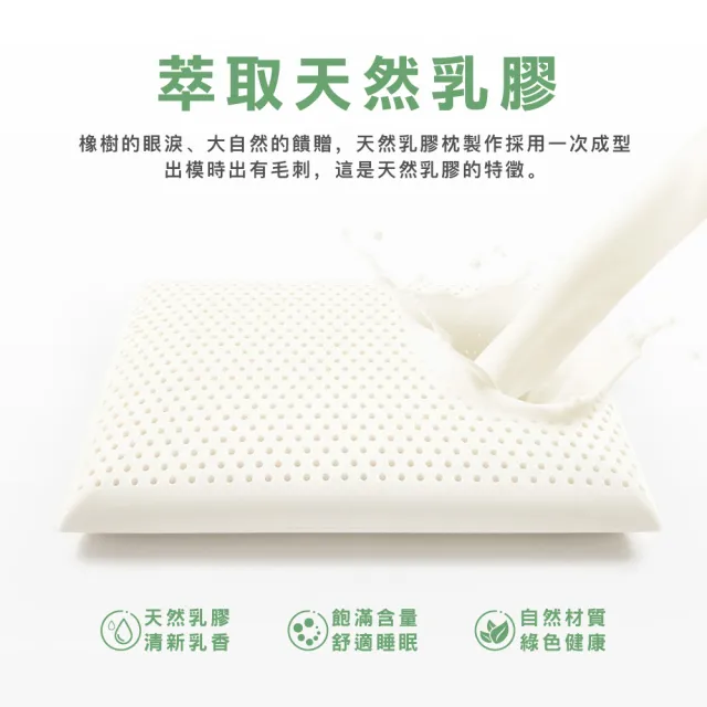 【ISHUR 伊舒爾】買1送1 天然乳膠枕 彈力支撐型-加大款(贈天絲枕套2入/泰國乳膠/枕頭)