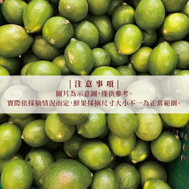有籽檸檬 5斤箱裝(產地直銷 現採新鮮出貨)