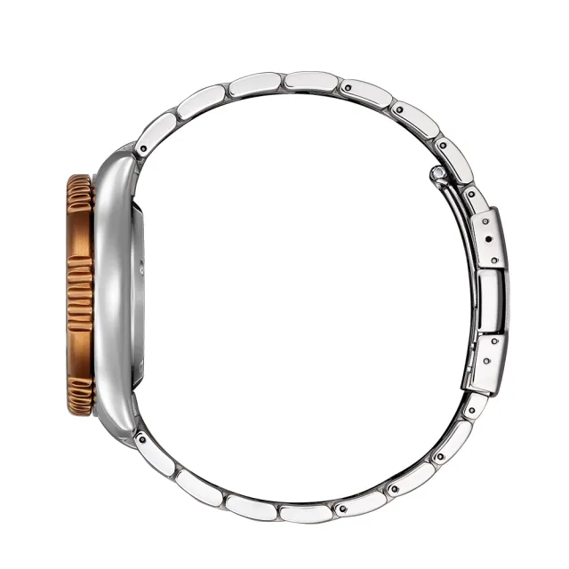 【CITIZEN 星辰】Promaster 鋼鐵河豚 限量 潛水錶 機械錶 男錶 手錶42mm 送禮首選 自用(NY0164-65X)