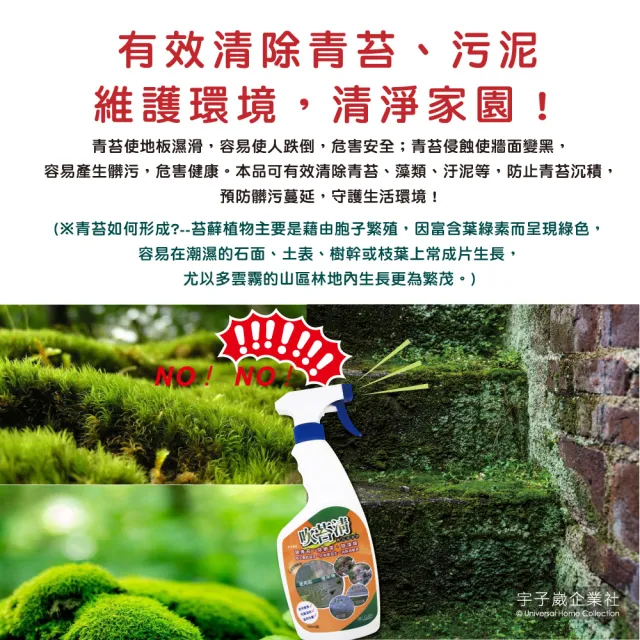 【台灣吹苔清】除青苔清潔劑-噴槍型550ml/瓶(預防地板外牆除霉水垢傢俱柵欄露營涼亭公園球場)