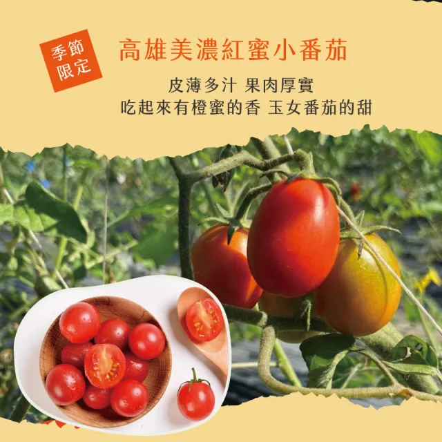 【初品果】美濃達哥雙色橙蜜香小番茄3斤x1盒(紅蜜+橙蜜_產銷履歷_年節禮盒)