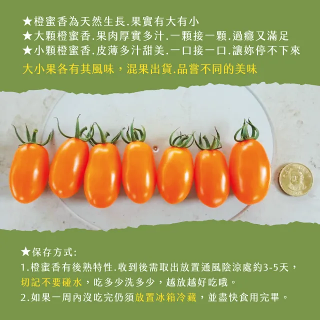 【初品果】美濃達哥橙蜜香小番茄禮盒4斤x4盒(季節限定_產銷履歷_年節禮盒)