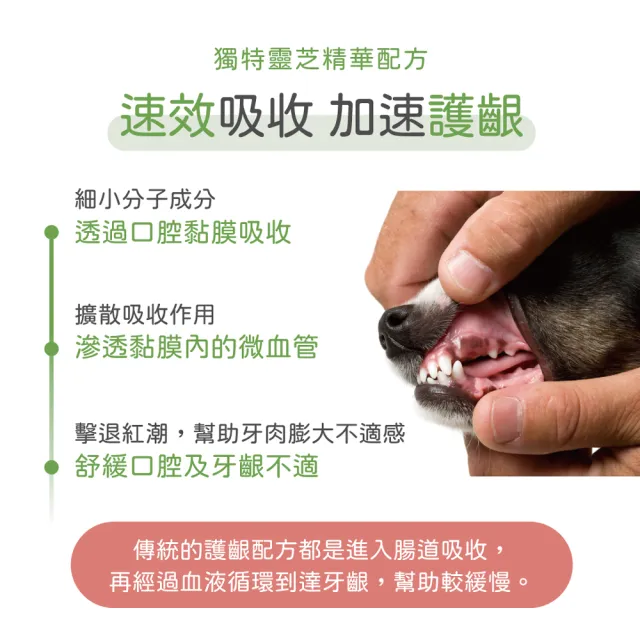 【PROUDPET 嬌寵醫生】牙齦研口腔噴液 20ml(犬貓護齦/寵物潔牙/貓狗口腔噴液/寵物清潔)