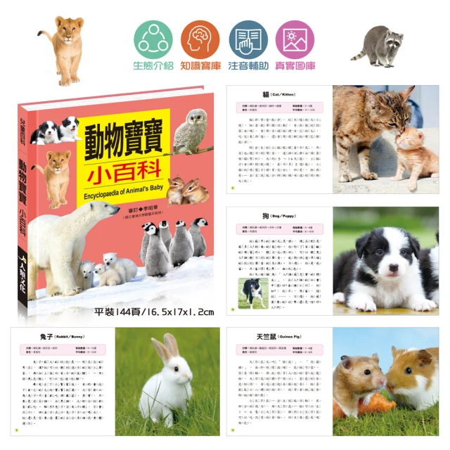 【iBezT】動物寶寶小百科(精選約60種動物詳細介紹牠們的特徵)