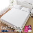 【DeKo岱珂】速達 買一送一 台灣製 3M護理級100%防水床包式保潔墊  吸濕排汗 透氣(單/雙/加/特 均一價)