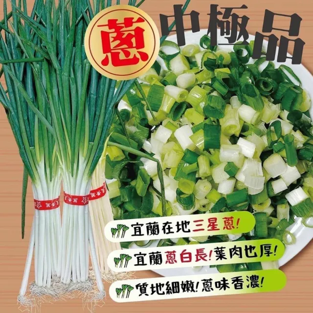 【蔥寶寶體驗農場】手作蔥多餅DIY+拔蔥體驗+洗蔥+導覽(贈好禮3選1)