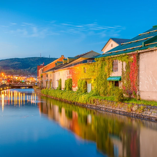 喜鴻假期 【星宇就愛經典北海道５日】鑽石星空、湖畔花火、企鵝散步、熊牧場、雙點進出、升等小樽君樂