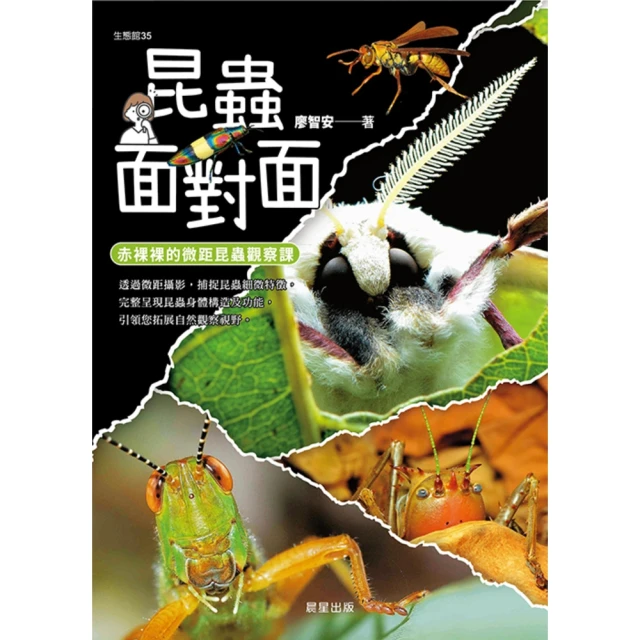 【momoBOOK】凝態物理：從半導體、磁浮列車(電子書)優