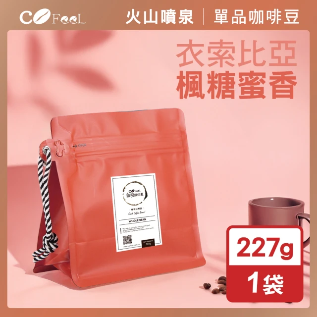 Cozyhouse 暖窩 淺焙 衣索比亞 果美村 寶貝藝伎 