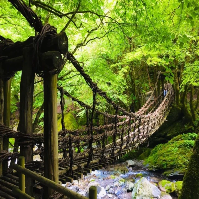 找到了!旅遊 釜山銀白伊甸園滑雪五日 易斯達航空(伊甸園滑雪