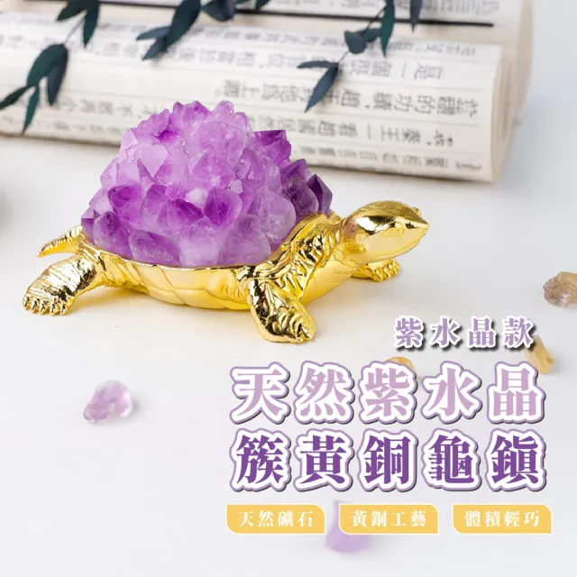【辦公擺件】天然紫水晶簇黃銅龜鎮(聚財 錢龜 紫晶簇 咬錢 招財 淨化 能量水晶 風水 喬遷 送禮 長壽龜)