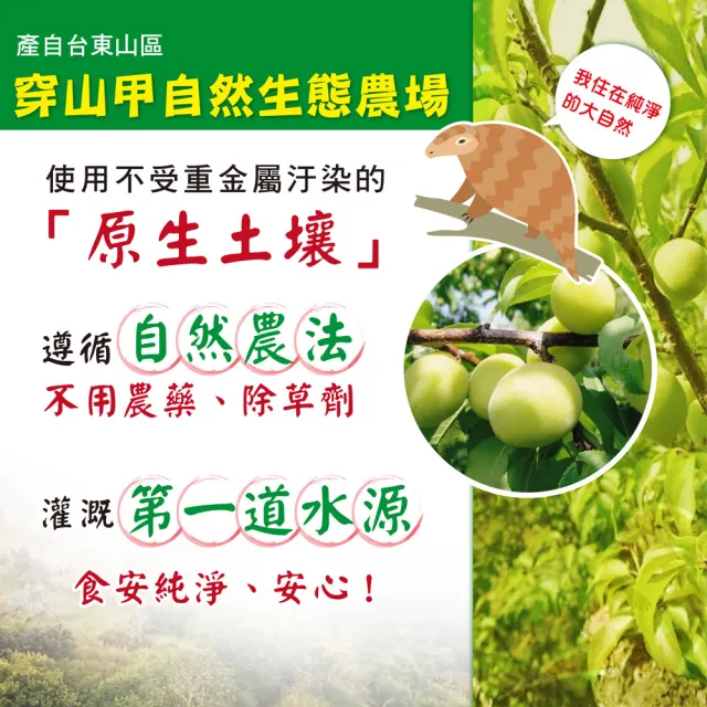 【紫梅王生技】活性酵素梅100gX2包(台灣製造 不含甘味劑 人工色素添加物 自然農法栽種)