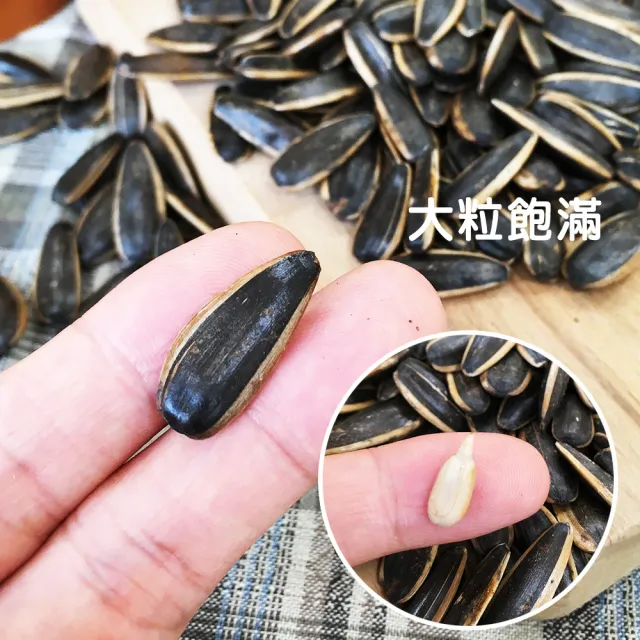 【盛香珍】豐葵香瓜子禮桶700gX3桶(焦糖風味/桂圓紅棗風味-2種可選-年節品/送禮)中元普渡/拜拜/澎派