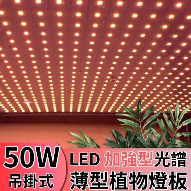【JIUNPEY 君沛】LED50W薄型植物燈板 50瓦吊掛式植物燈 加強型光譜 強化植物莖葉發展(植物燈)