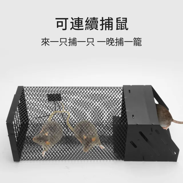 【zLife】單門連續踏板式捕鼠籠 全自動大洞口捕鼠器 滅鼠神器陷阱誘捕抓老鼠 老鼠籠/捕鼠/驅鼠/撲鼠器