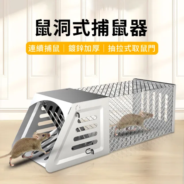 【zLife】全自動超強連續捕鼠籠 大洞口陷阱誘捕抓捉老鼠 踏板式捕鼠器 滅鼠神器/老鼠籠/捕鼠/驅鼠/撲鼠器