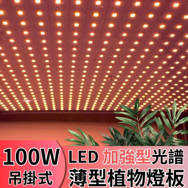 JIUNPEY 君沛 LED100W薄型植物燈板 100瓦吊掛式植物燈 加強型光譜 強化植物莖葉發展(植物燈)