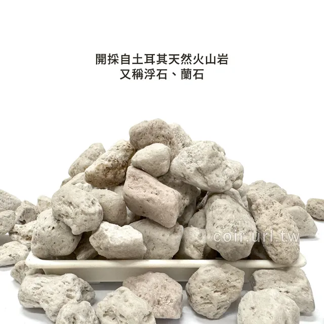 瘋狂植物社】土耳其白火山石2公升裝-10~25mm(白火山岩、蘭石、缽底石