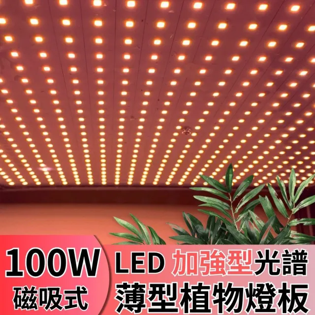 【JIUNPEY 君沛】LED100W薄型植物燈板 100瓦磁吸式植物燈 加強型光譜 強化植物莖葉發展(植物燈)