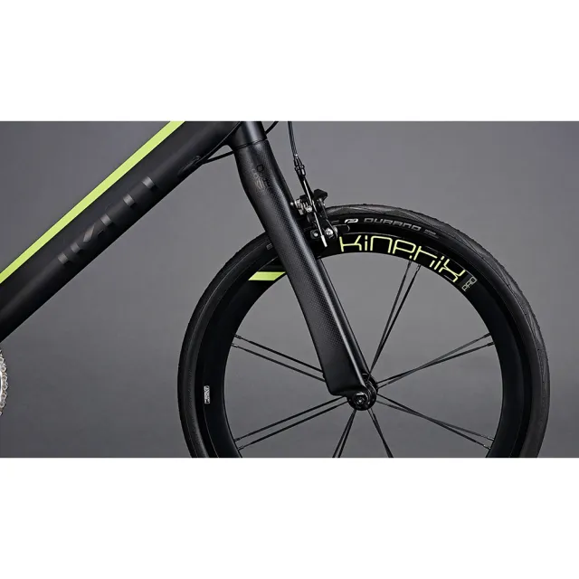 【Tern】SURGE PRO - Delta｜小徑車(451 小輪徑設計)