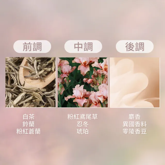 【伊麗莎白雅頓】官方直營 白茶粉紅蒼蘭香水100ml(香氛/花香/麝香)