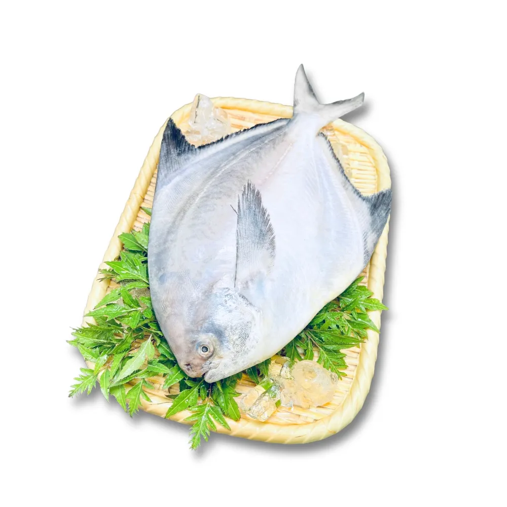【好嬸水產】新鮮直送-野生白鯧-400G 2入