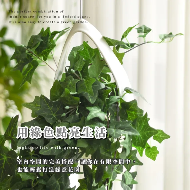 理想生活】懸掛式水滴花盆(陽台園藝客廳多肉植物佈置盆栽造景花架高度